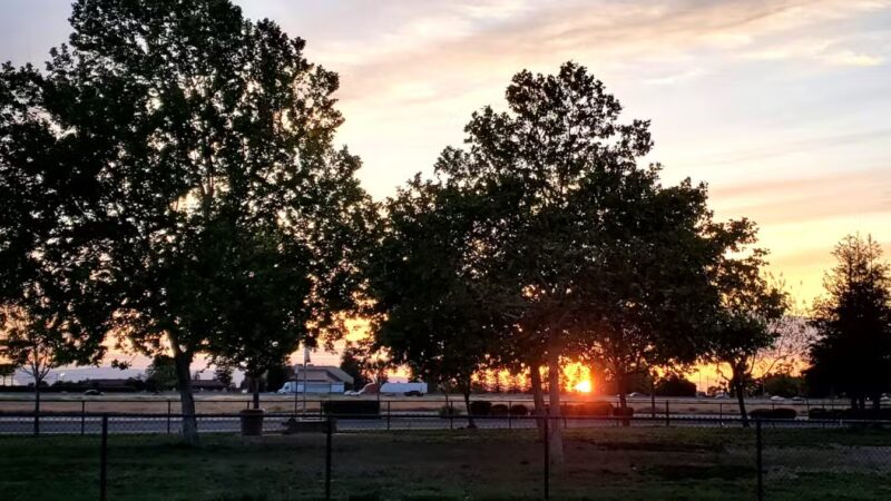 Swanson Centennial Park - Turlock, CA