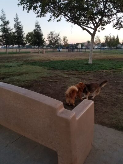 Swanson Centennial Park - Turlock, CA