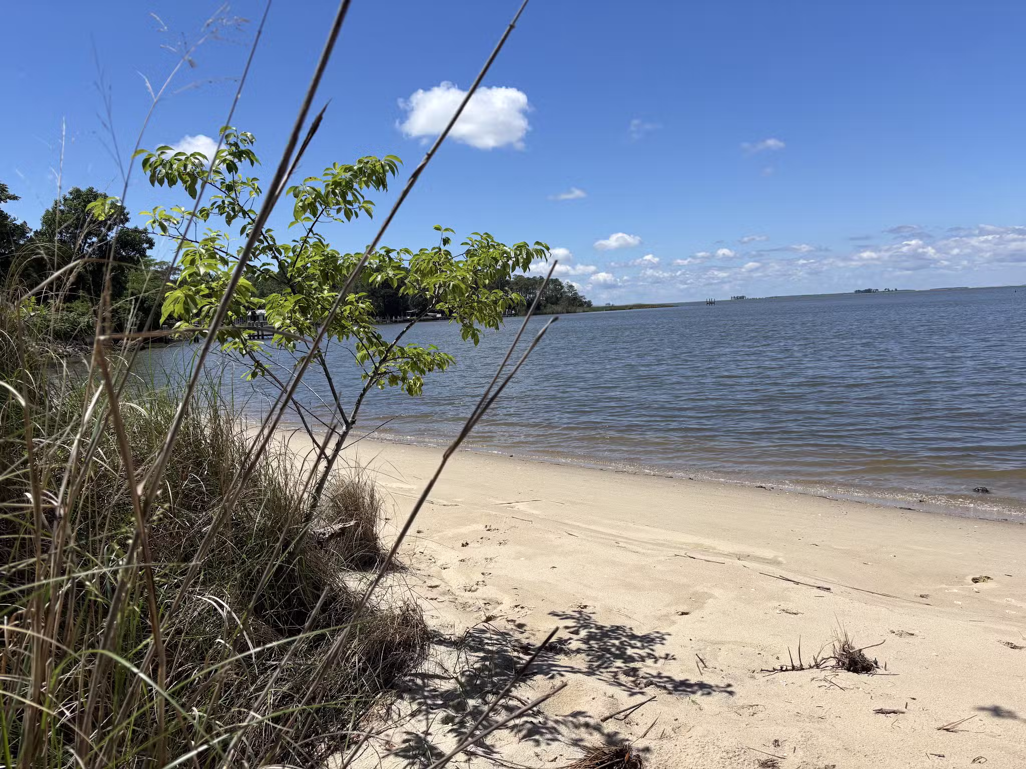 Tyaskin Park - Tyaskin, MD