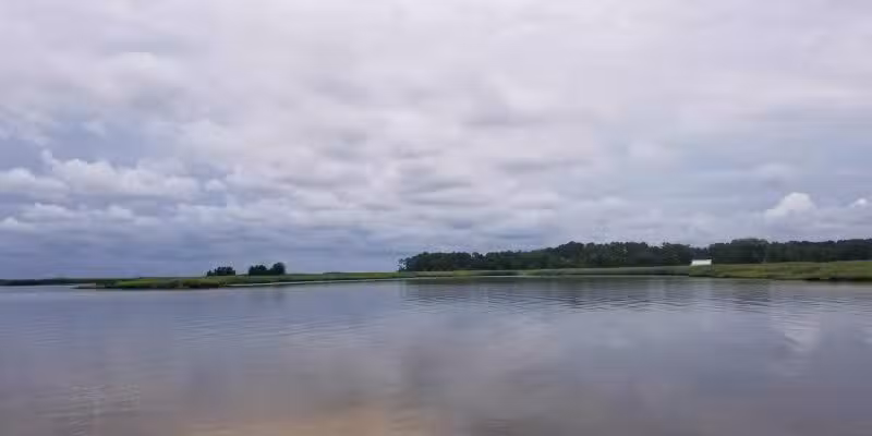 Tyaskin Wharf - Tyaskin, MD