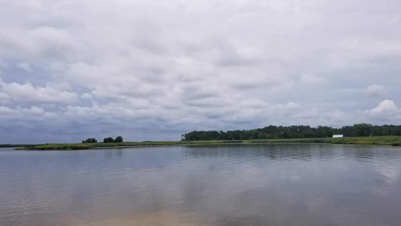 Tyaskin Wharf - Tyaskin, MD