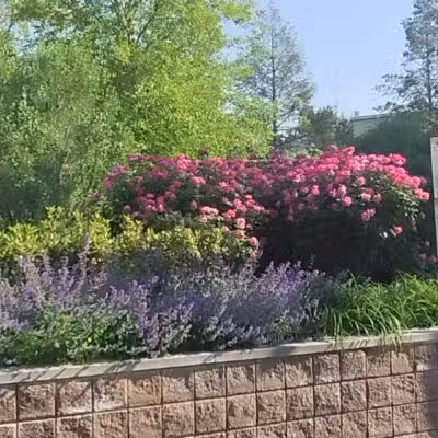 Ellsworth Park - Union City, NJ