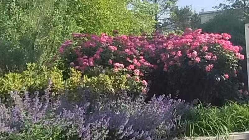 Ellsworth Park - Union City, NJ