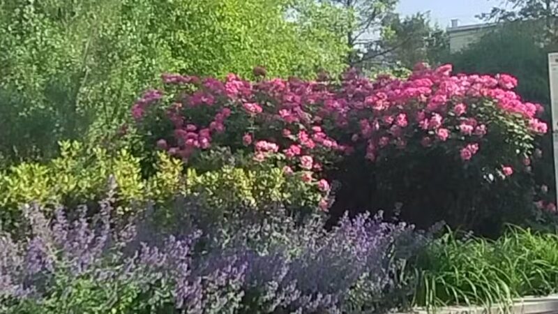 Ellsworth Park - Union City, NJ