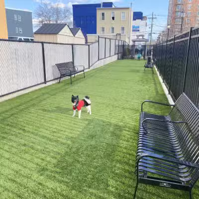 Union City Large Dog Park - Union City, NJ