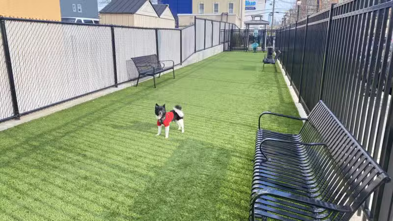 Union City Large Dog Park - Union City, NJ