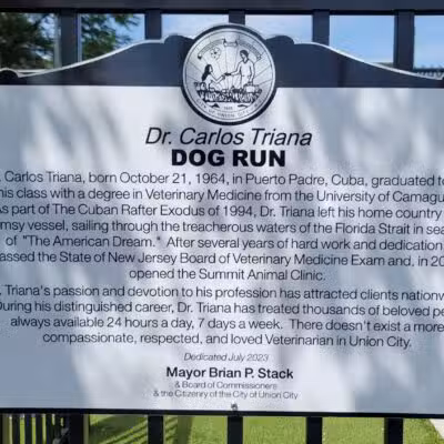 Union City Large Dog Park - Union City, NJ