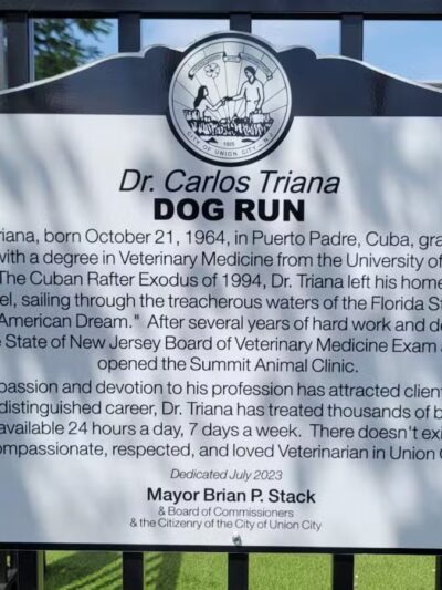 Union City Large Dog Park - Union City, NJ