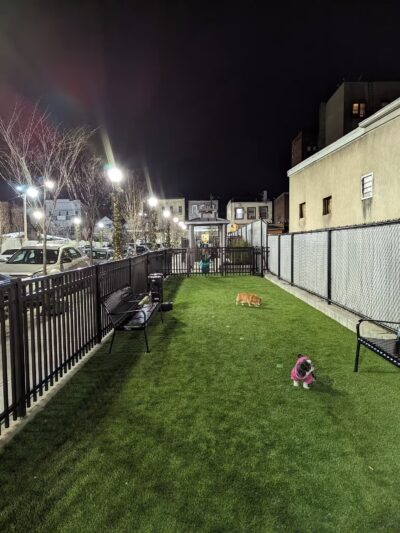 Union City Small Dog Park - Union City, NJ