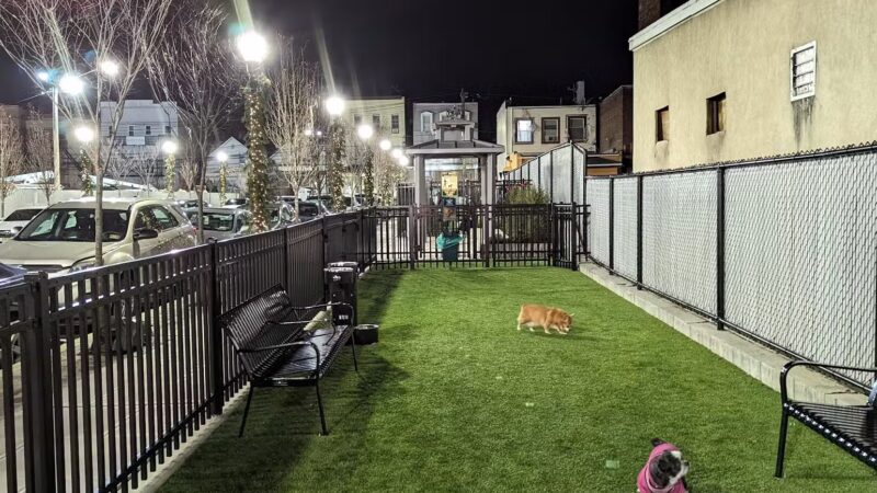 Union City Small Dog Park - Union City, NJ