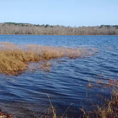 Ayer Park - Union, ME