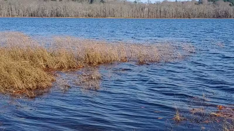 Ayer Park - Union, ME