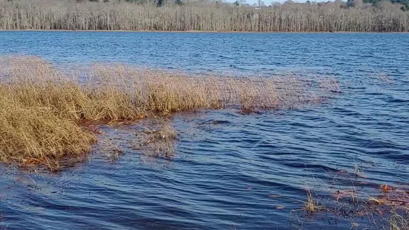 Ayer Park - Union, ME