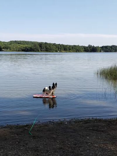 Ayer Park - Union, ME