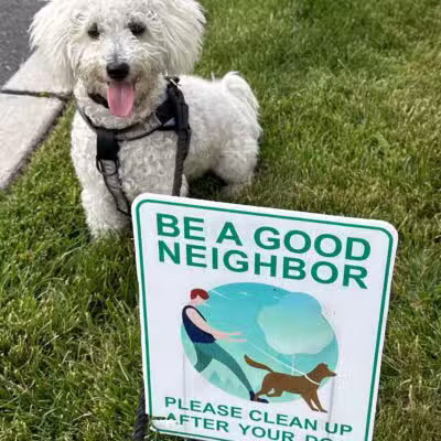 Dogtopia of Union - Union, NJ