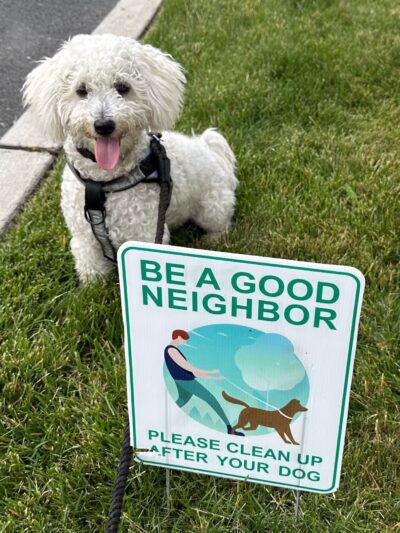 Dogtopia of Union - Union, NJ