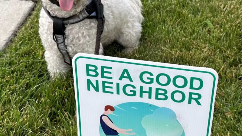 Dogtopia of Union - Union, NJ