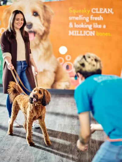 Dogtopia of Union - Union, NJ