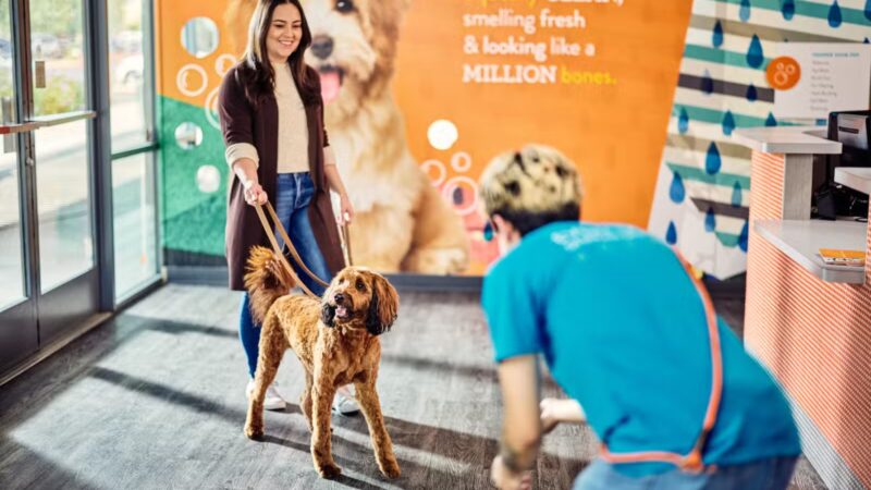 Dogtopia of Union - Union, NJ