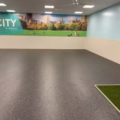 Dogtopia of Union - Union, NJ