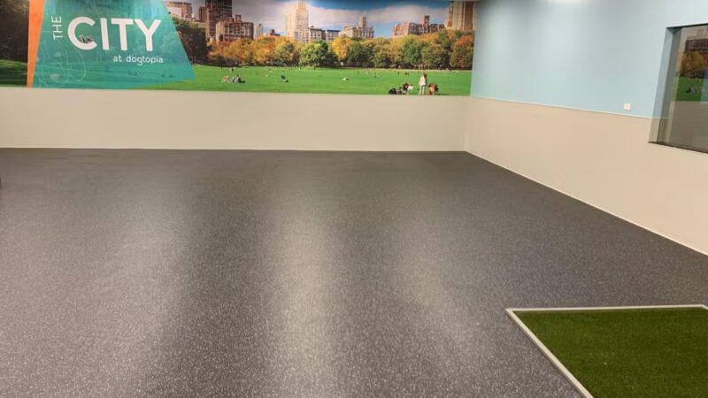 Dogtopia of Union - Union, NJ