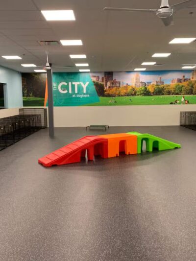 Dogtopia of Union - Union, NJ