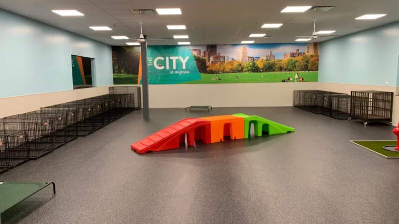 Dogtopia of Union - Union, NJ