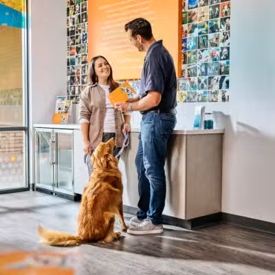Dogtopia of Union - Union, NJ