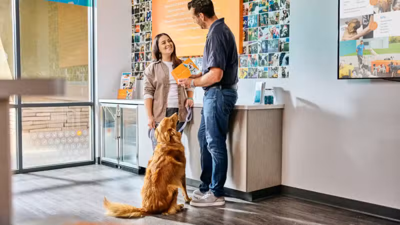 Dogtopia of Union - Union, NJ