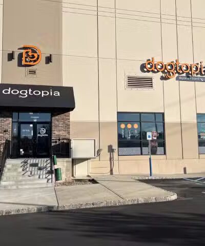 Dogtopia of Union - Union, NJ
