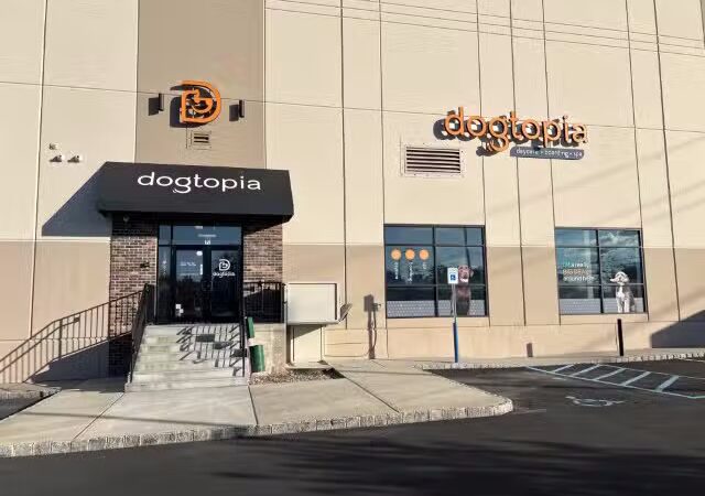 Dogtopia of Union - Union, NJ