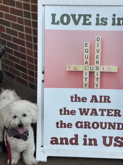 Dogtopia of Union - Union, NJ