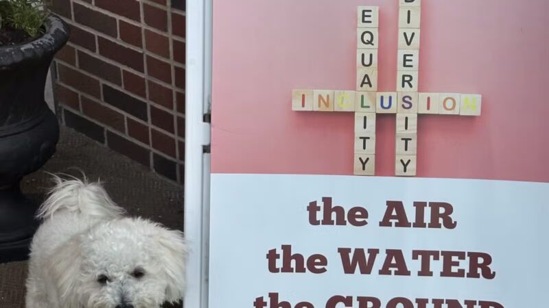 Dogtopia of Union - Union, NJ