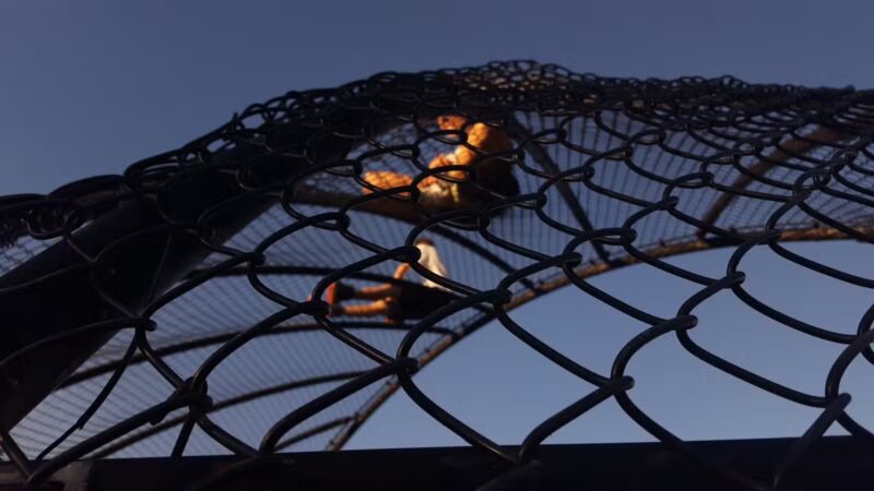 Pleasant Park - Union, NJ