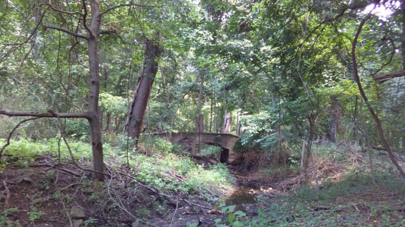 Rahway River Parkway - Union, NJ