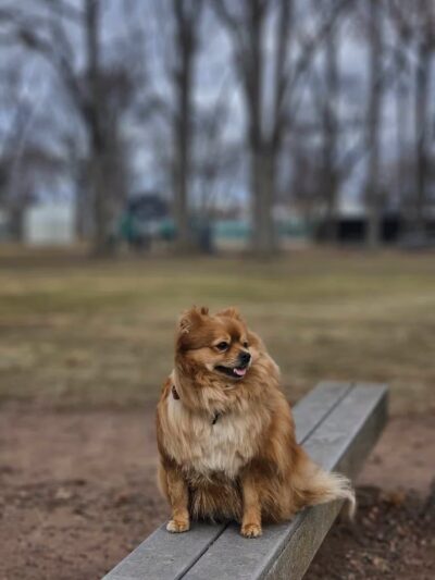 Weber Park - Union, NJ