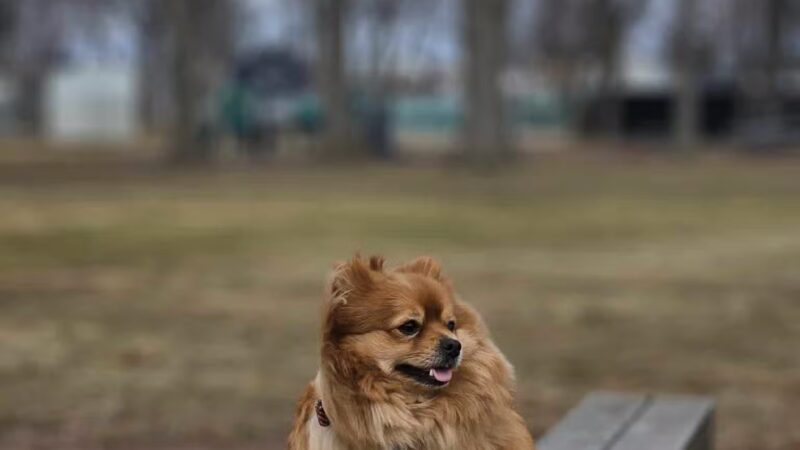 Weber Park - Union, NJ