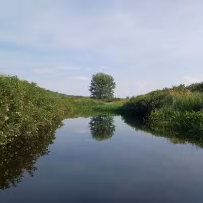 Kanokolus Bog Preserve - Unity, ME