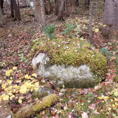 Kanokolus Bog Preserve - Unity, ME