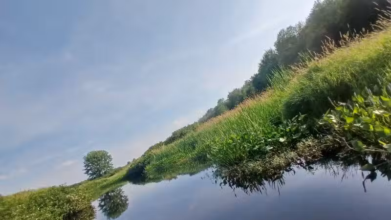 Kanokolus Bog Preserve - Unity, ME