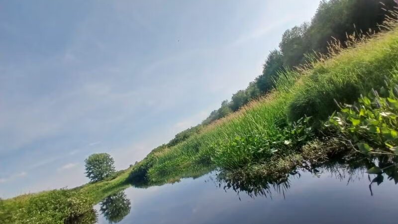 Kanokolus Bog Preserve - Unity, ME