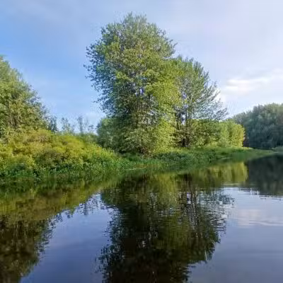 Kanokolus Bog Preserve - Unity, ME
