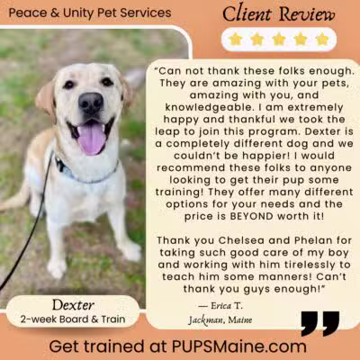 Peace & Unity Pet Services - Unity, ME