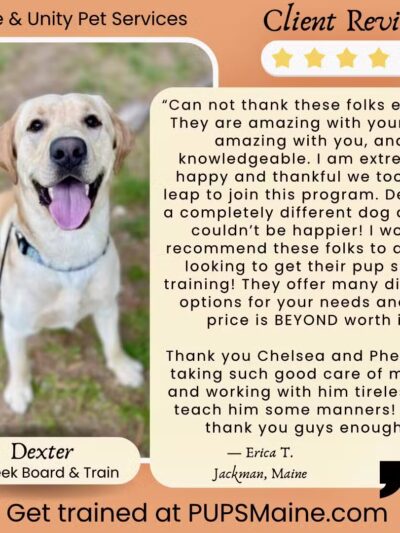 Peace & Unity Pet Services - Unity, ME