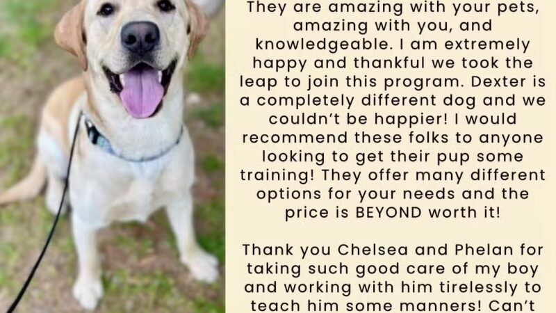 Peace & Unity Pet Services - Unity, ME