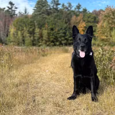 Peace & Unity Pet Services - Unity, ME