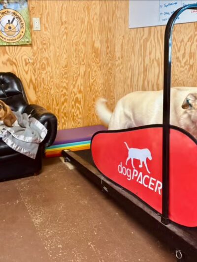 Peace & Unity Pet Services - Unity, ME