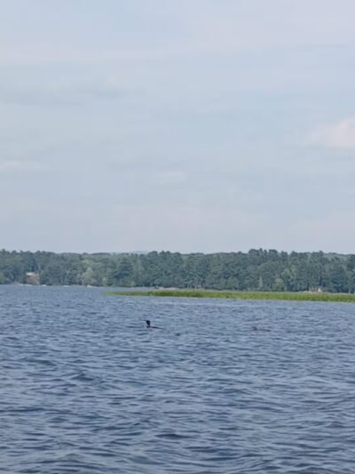 Unity Pond Boat Launch - Unity, ME