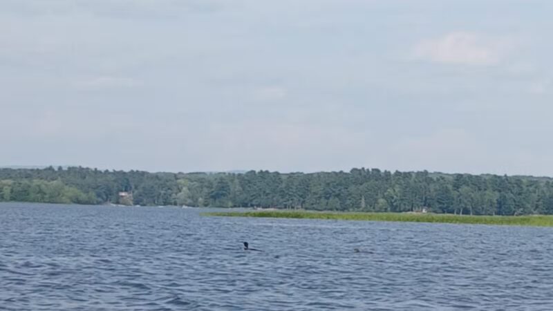 Unity Pond Boat Launch - Unity, ME