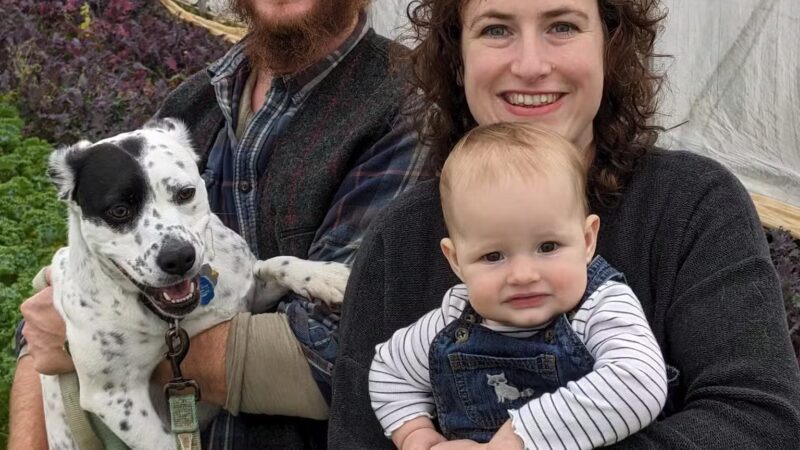 Good Dog Farm - Upperco, MD